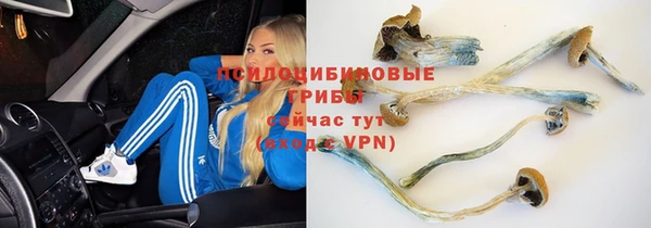 мдпв Балабаново
